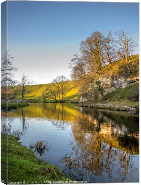 A bend in the river Wharfe, near Burnsall. Canvas Print by Chris North