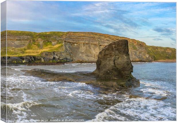 Black Nab sea stack, near Whitby North Yorkshire. Canvas Print by Chris North