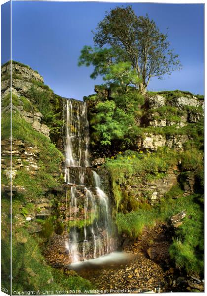 Waterfall at Cray in the Yorkshire Dales. Canvas Print by Chris North