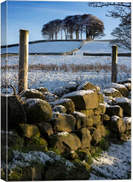 Winter on the Chevin, Otley West Yorkshire. Canvas Print by Chris North
