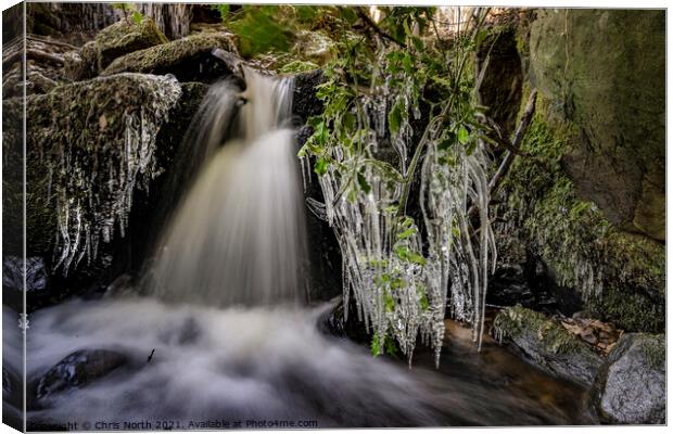 Ice Stream. Canvas Print by Chris North