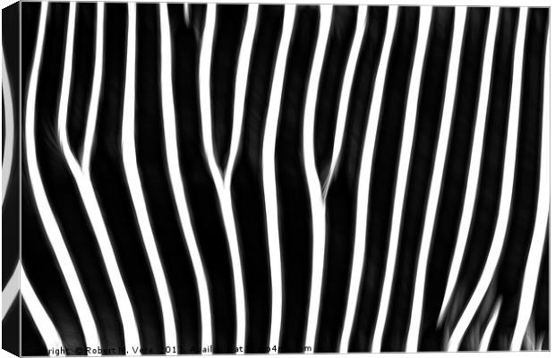 Grevy's Zebra  Canvas Print by Robert M. Vera