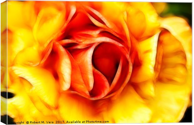 Orange and Yellow Rose Canvas Print by Robert M. Vera