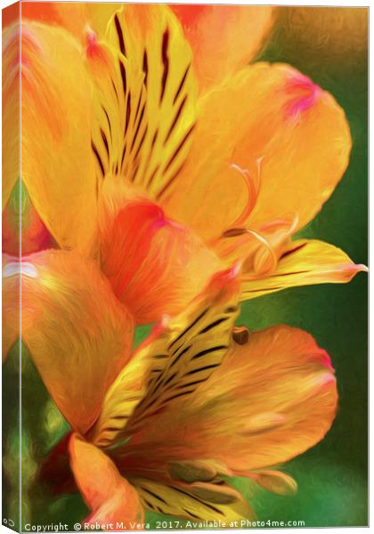 Alstroemeria - Peruvian Lily, Lily of the Incas Canvas Print by Robert M. Vera