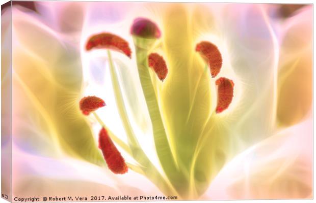 Digitally Enhanced White Lily Flower Canvas Print by Robert M. Vera