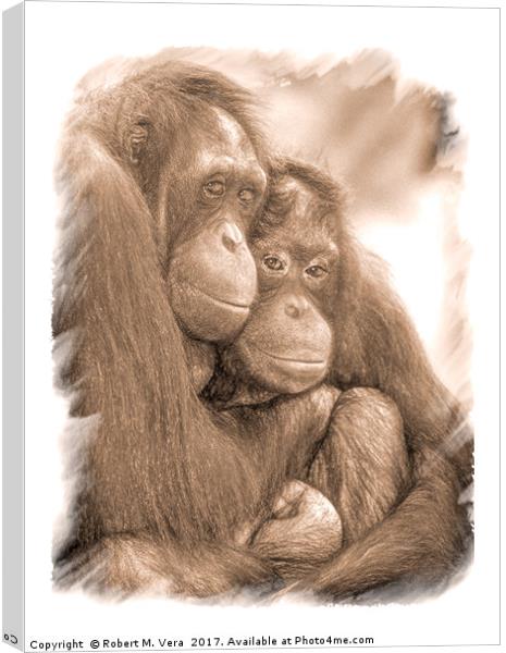 Orangutan Sisters Canvas Print by Robert M. Vera