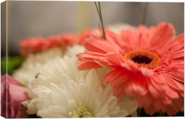 Pretty flower Canvas Print by Mark Holbrook