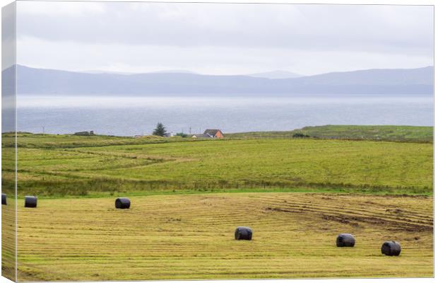 Remote House and Hay Bales on the Isle Of Skye Canvas Print by Maarten D'Haese