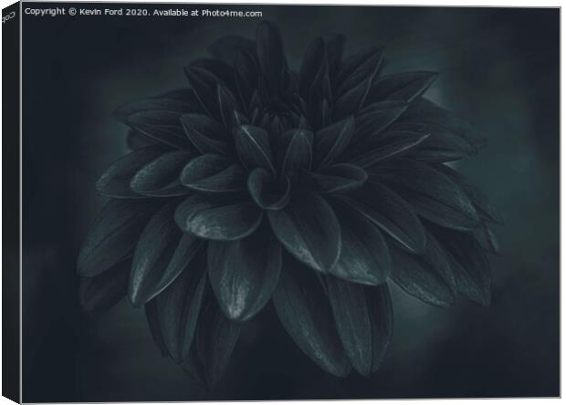 Black Dahlia Canvas Print by Kevin Ford