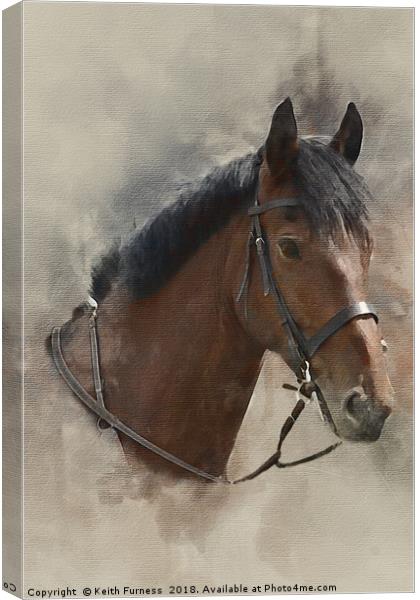 Harvey the Horse Canvas Print by Keith Furness