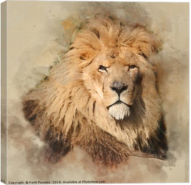 King of the Jungle Canvas Print by Keith Furness