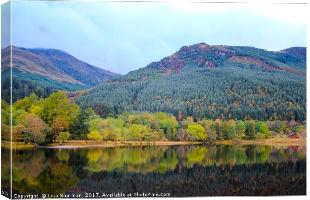 Banks of Loch Lubnaig in Scotland Canvas Print by  