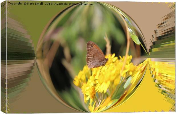 Resting on young Taraxacum Canvas Print by Kate Small