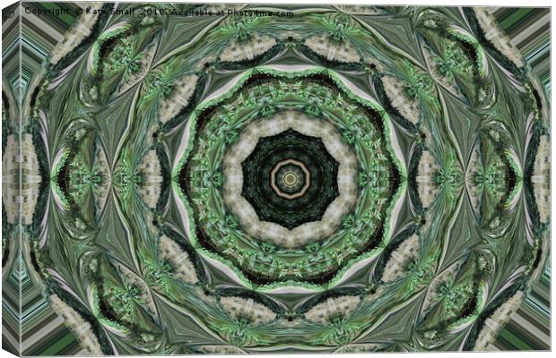 Emerald Canvas Print by Kate Small