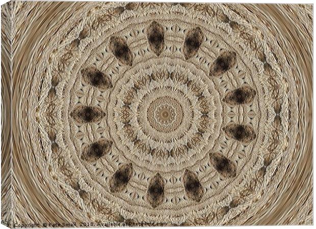 Rope Fiber Canvas Print by Kate Small