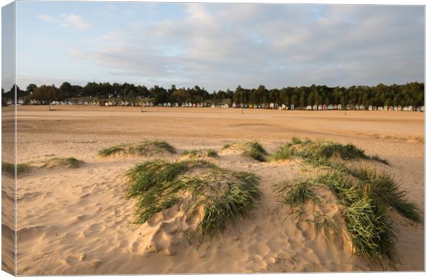 Sand dunes and beach huts at Wells Next the Sea Canvas Print by Owen Vachell