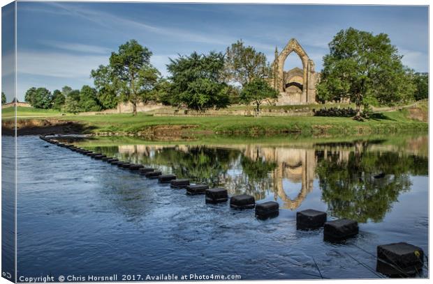 Bolton Abbey Canvas Print by Chris Horsnell