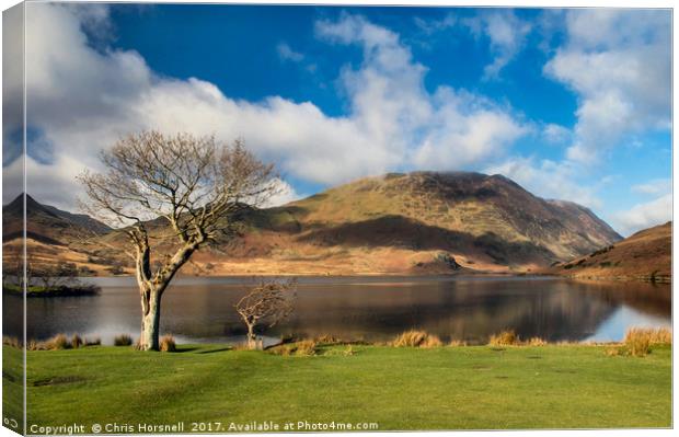 Buttermere Reflections Canvas Print by Chris Horsnell