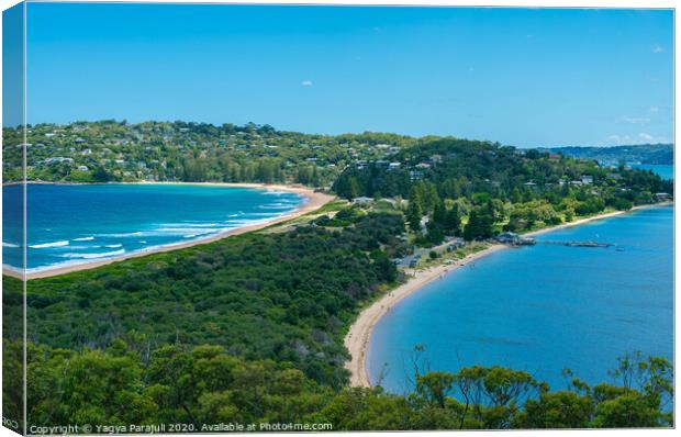 The Palm Beach of Sydney Canvas Print by Yagya Parajuli