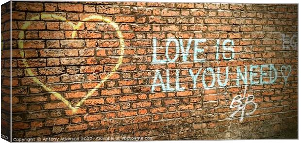 All You Need is Love Canvas Print by Antony Atkinson