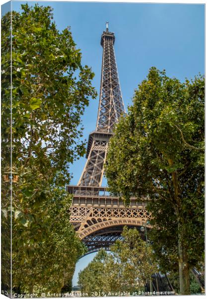 Paris Eiffel Tower Canvas Print by Antony Atkinson