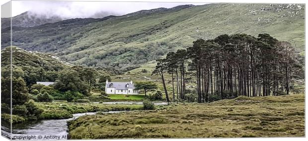 Out Walking in the Highlands Canvas Print by Antony Atkinson