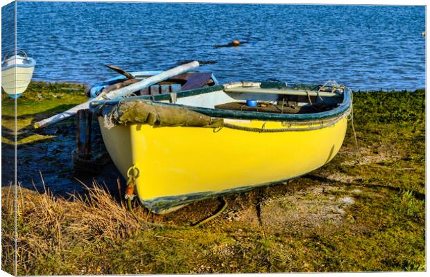 Yellow Boat Tollesbury Canvas Print by Steven Dale