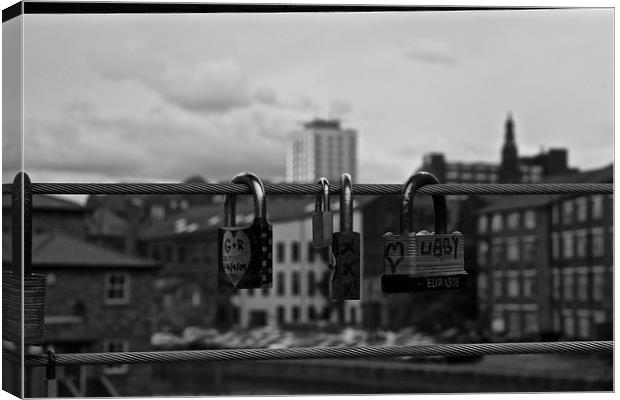 Love Seal on Aire's Bridge Canvas Print by Steven Dale