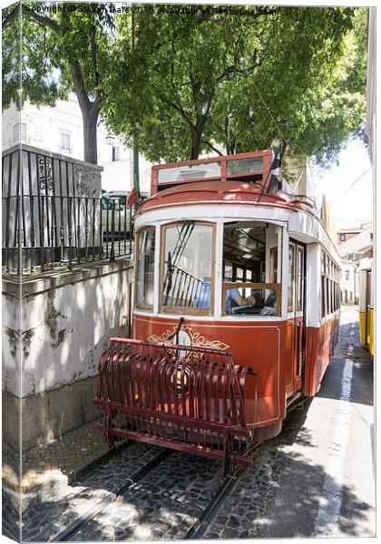  Lisbon old tram Canvas Print by Steven Dale