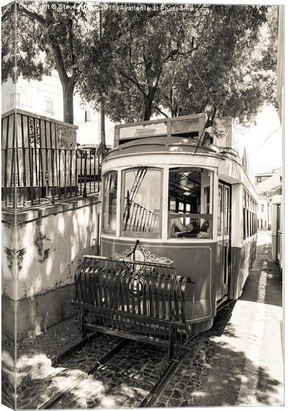  Lisbon vintage tram Canvas Print by Steven Dale