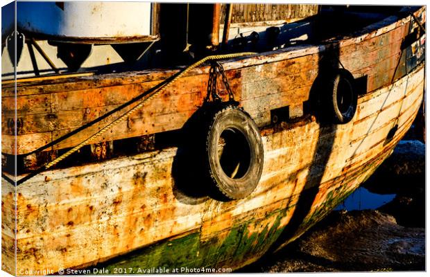 Neglected old beauty Canvas Print by Steven Dale