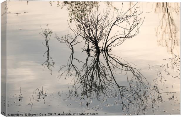 Flooded East Anglian Landscape’s Reflection Canvas Print by Steven Dale