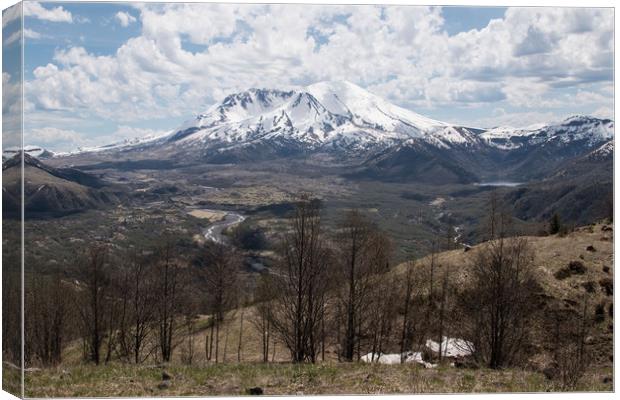 Mount St. Helens Canvas Print by Janet Mann