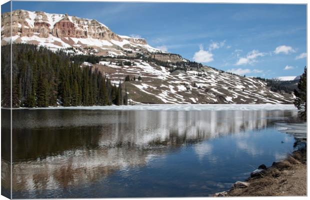 Reflections of  Forest and Mountain in Lake McDona Canvas Print by Janet Mann