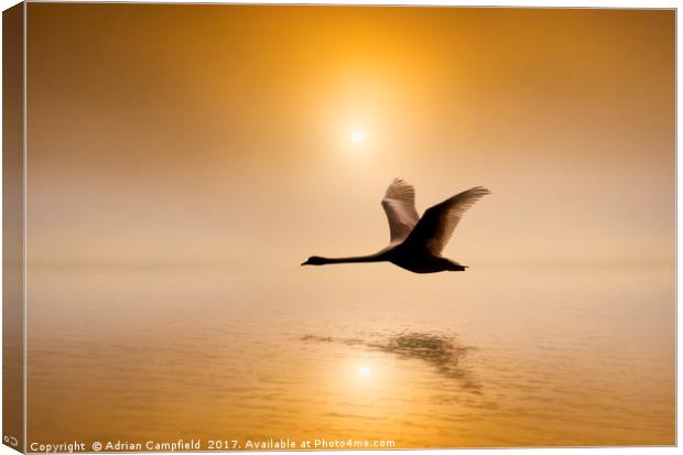 Flight over the River Darent Canvas Print by Adrian Campfield