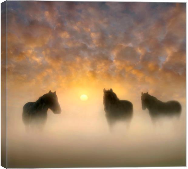 Equine Magic Canvas Print by Adrian Campfield