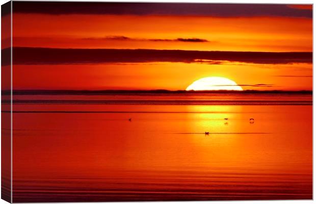 Winter sunset over the sea Canvas Print by Dave Bradley
