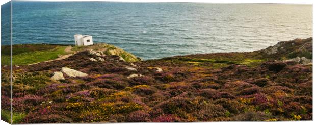 Elin's Tower, South Stack, North Wales Canvas Print by Wael Attia