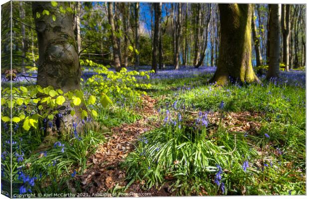Bluebells at Bluebell Woods - Crickhowell Canvas Print by Karl McCarthy