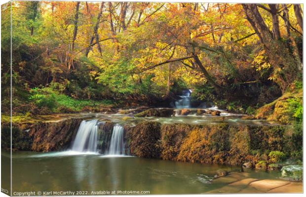 Autumnal Stream Canvas Print by Karl McCarthy