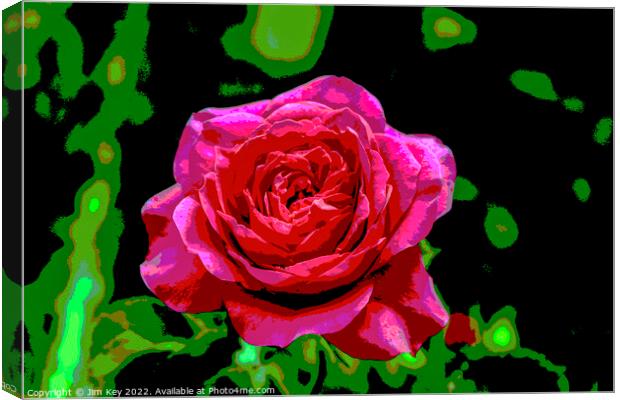 Red Rose  Canvas Print by Jim Key