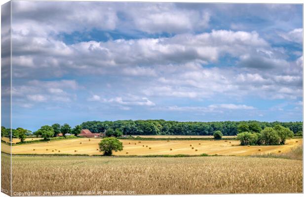 A country view  in Norfolk Canvas Print by Jim Key
