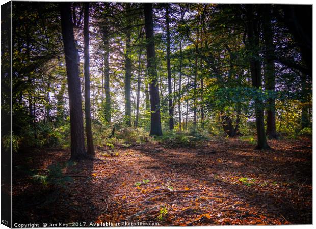 Woodland Clearing  Canvas Print by Jim Key