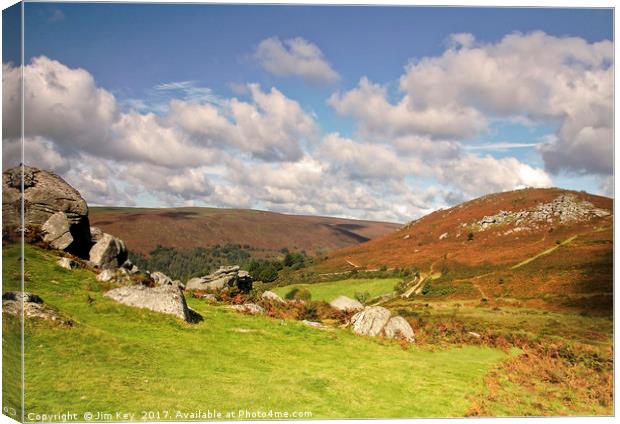 Bonehill Rocks Dartmoor Canvas Print by Jim Key