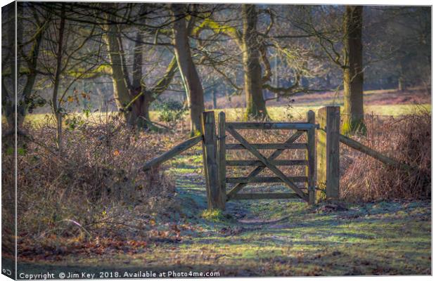 A Gate in the Wood Canvas Print by Jim Key