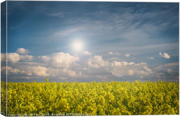 Blue Sky and Yellow Flowers on a Sunny Day  Canvas Print by Jim Key