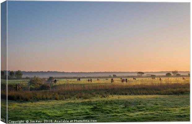 Sunrise on a herd of Belties Canvas Print by Jim Key