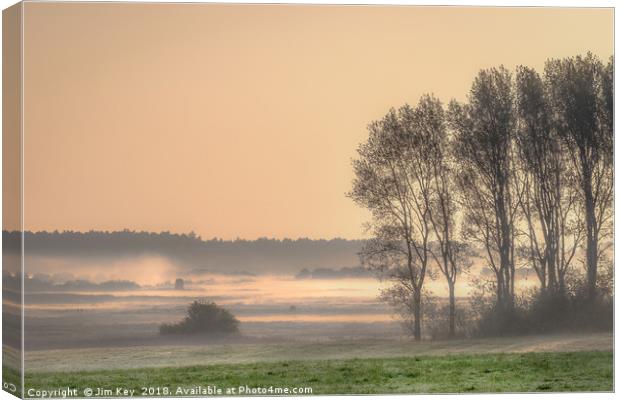 Morning Mist at Holkham Norfolk Canvas Print by Jim Key