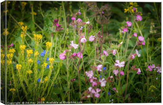 Wildflowers by the Roadside Canvas Print by Jim Key