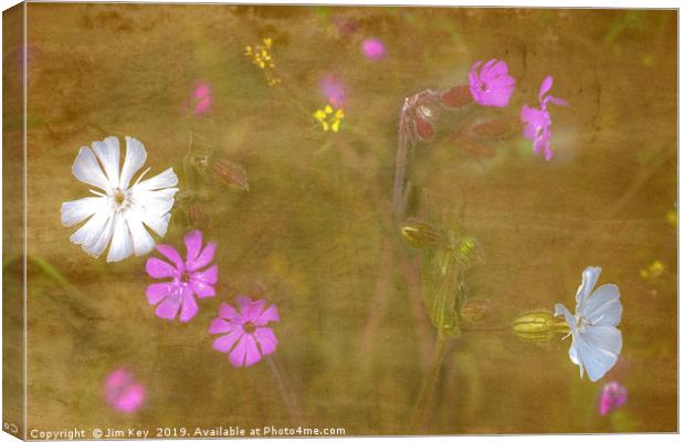 Wildflowers in Abstract Canvas Print by Jim Key